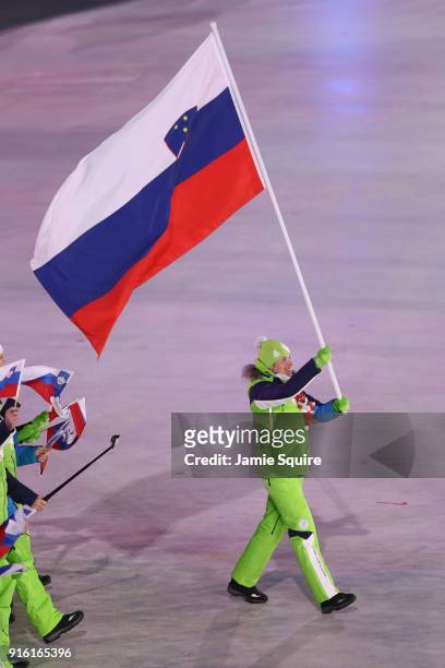 Flag bearer Vesna Fabjan of Slovenia leads the team during the Opening Ceremony of the PyeongChang 2018 Winter Olympic Games at PyeongChang Olympic...