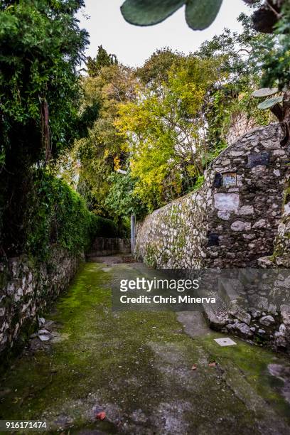 dietro la noce in taormina - dietro stock pictures, royalty-free photos & images