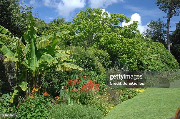 trelissick garden, cornwall - truro cornwall stock pictures, royalty-free photos & images