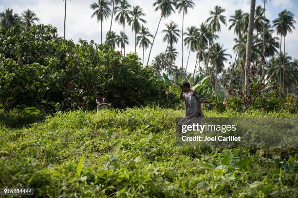 woman cutting brush with machete in papua new guinea - papua new guinea stock pictures, royalty-free photos & images