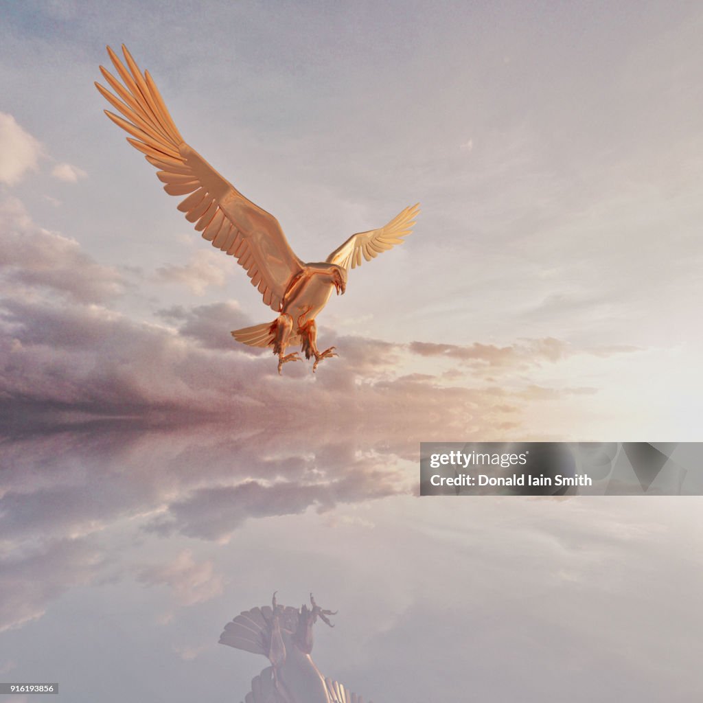 Reflection of eagle flying in clouds