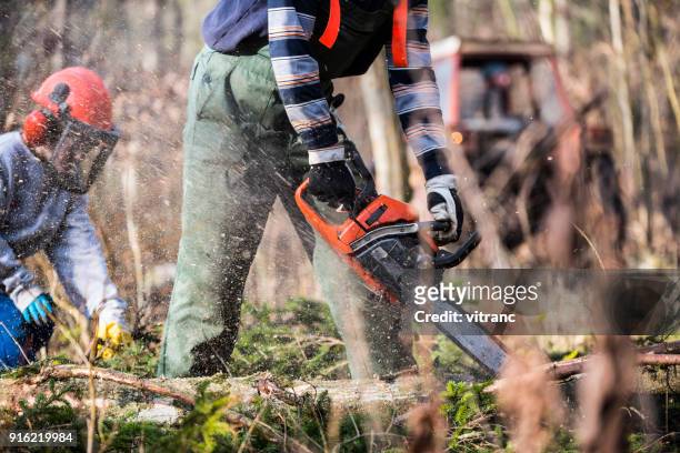 parent and child - chainsaw stock pictures, royalty-free photos & images
