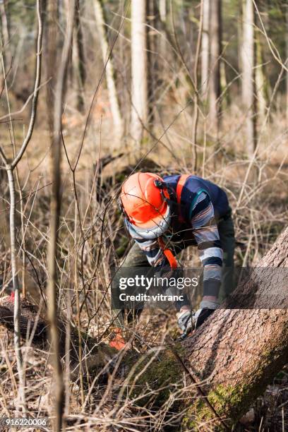 holzfäller arbeiten - waldarbeiter stock-fotos und bilder