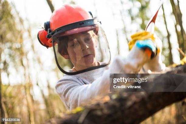 kleinen holzfäller bei der arbeit - waldarbeiter stock-fotos und bilder