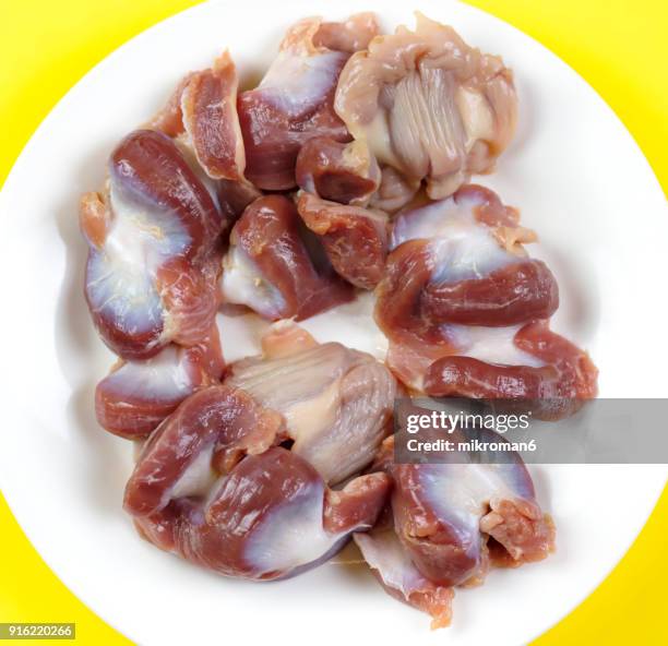 Gizard Part Digestive System Chicken Photos and Premium High Res Pictures - Getty ...