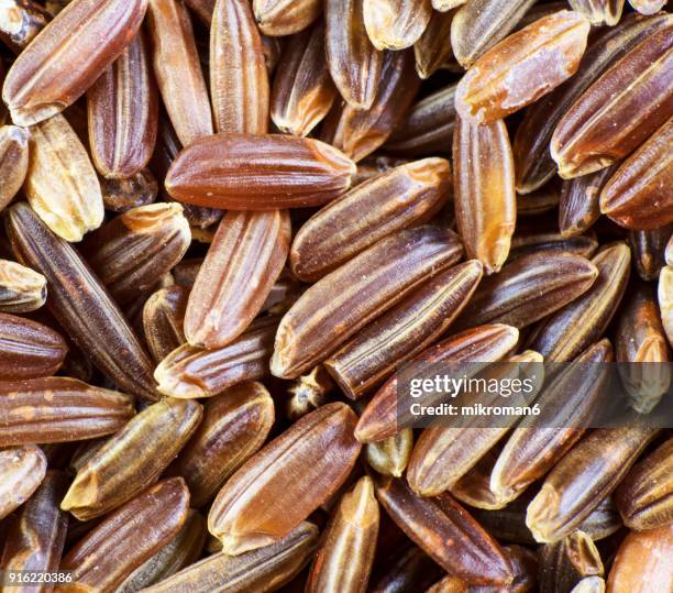 wild, red rice directly above view, macro shot. traditional food. - wild rice stock pictures, royalty-free photos & images