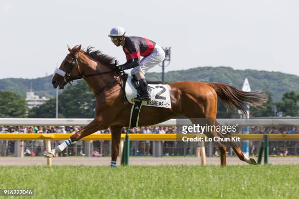 Jockey Masayoshi Ebina riding Tanta Alegria during the Tokyo Yushun at Tokyo Racecourse on May 31, 2015 in Tokyo, Japan. Tokyo Yushun Japanese Derby,...
