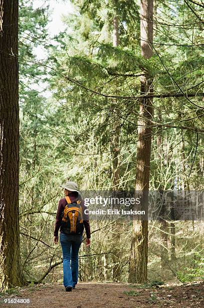 a hiker in the woods - pacific northwest stock pictures, royalty-free photos & images