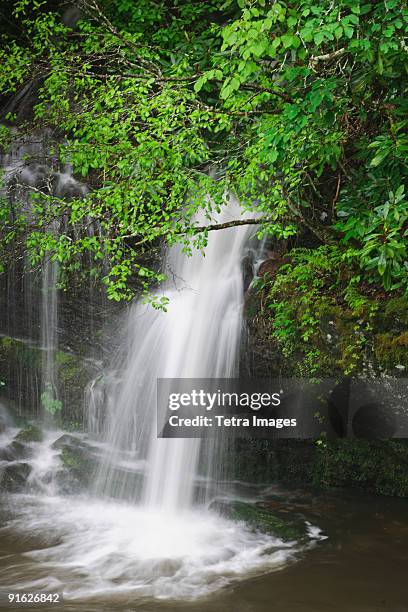 a scenic waterfall - bryson city north carolina stock pictures, royalty-free photos & images