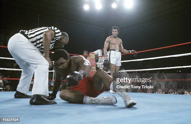 Heavyweight Title: George Foreman tries to get off the canvas as referee Zack Clayton checks on him during the match against Muhammad Ali at 20th of...