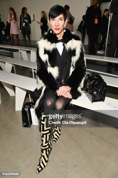 Amy Fine Collins attends the Jason Wu front row during New York Fashion Week: The Shows at Gallery I at Spring Studios on February 9, 2018 in New...