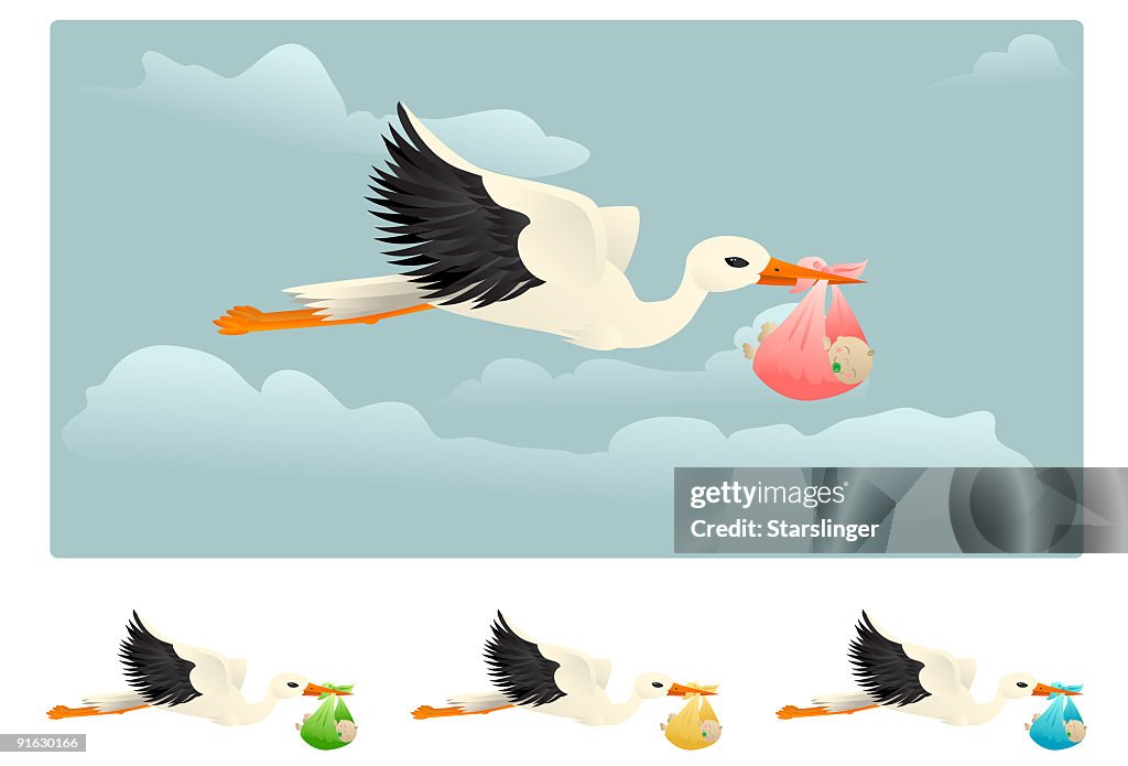 Stork Carrying a baby