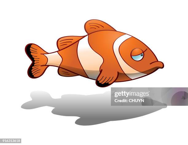 clown fish - amphiprion akallopisos stock illustrations