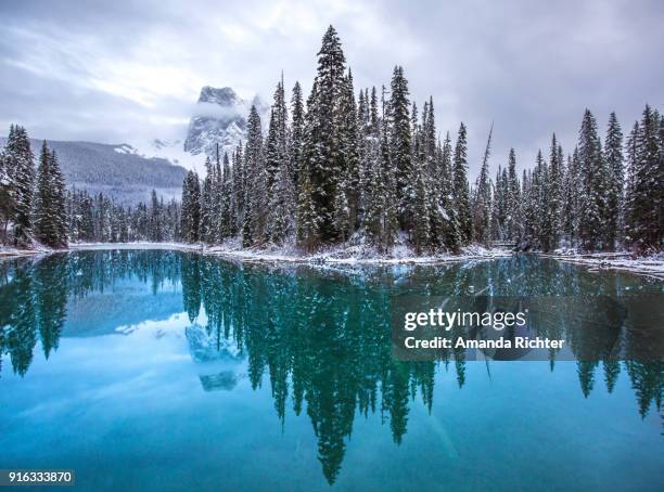 emerald lake reflection - ヨーホー国立公園 ストックフォトと画像