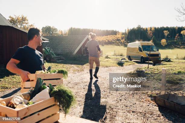 mid adult men carrying crates full of vegetables at farmers market - gemüsekiste stock-fotos und bilder