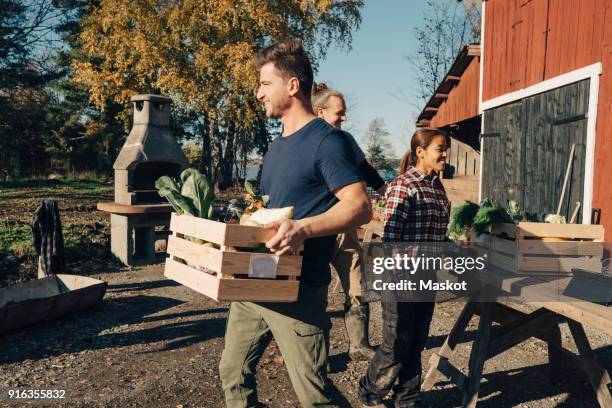 mid adult man carrying crate full of vegetables at farmers market - tischflächen aufnahme stock-fotos und bilder