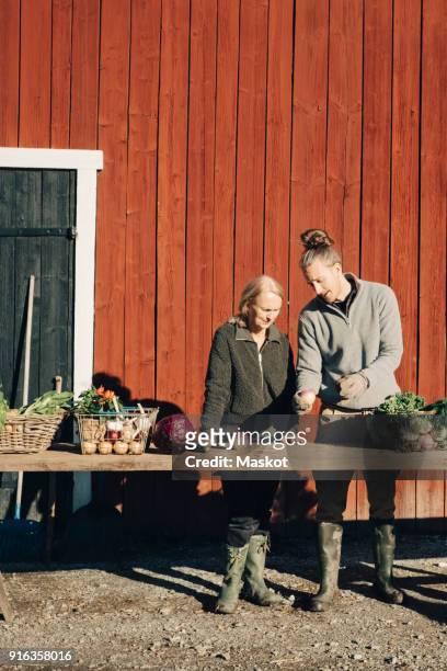 full length of male and female farmers discussing over vegetables at table against barn - market stall stock-fotos und bilder