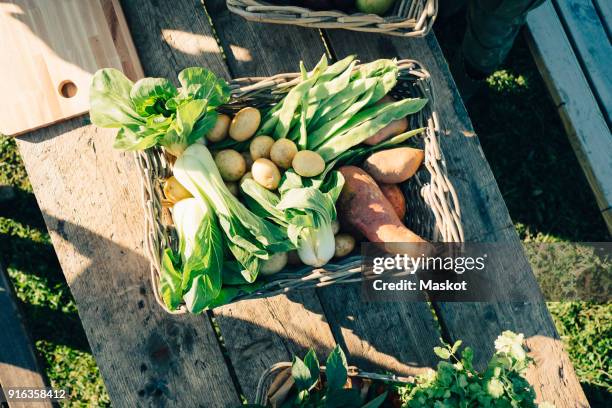 directly above shot of fresh organic vegetables in basket on table at farmers market - root vegetable stockfoto's en -beelden