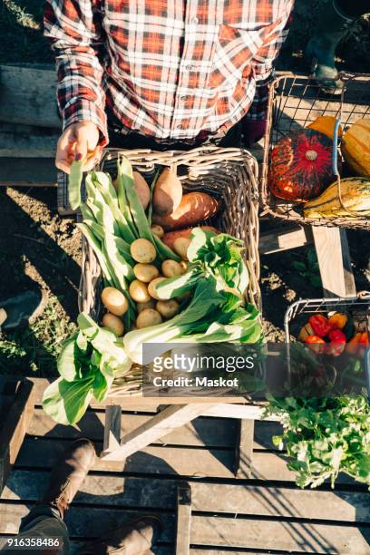 directly above shot of female farmer selling fresh organic vegetables at market - chemise à carreaux photos et images de collection