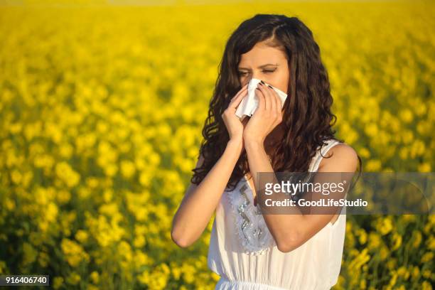 pollen allergy - snorted stock pictures, royalty-free photos & images