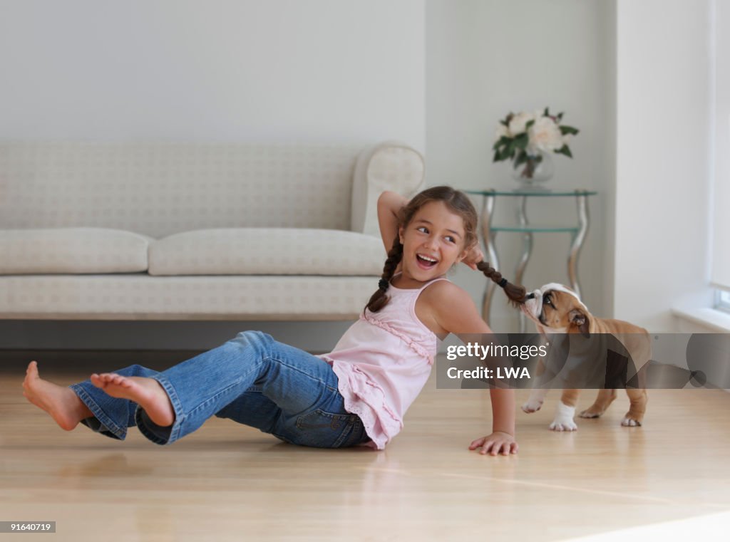 Bulldog Puppy Pulling On Girl's Braid