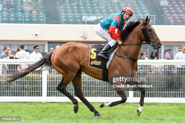 Cannyescent ridden by Damien Oliver head to the barrier before the Schweppes Rubiton Stakes at Caulfield Racecourse on February 10, 2018 in...