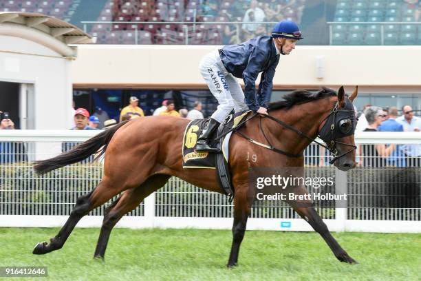 Merchant Navy ridden by Mark Zahra head to the barrier before the Schweppes Rubiton Stakes at Caulfield Racecourse on February 10, 2018 in Caulfield,...