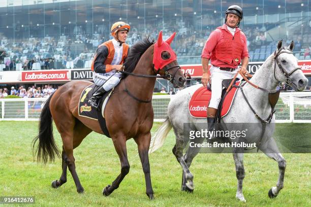 Prezado ridden by Chris Symons head to the barrier before the Schweppes Rubiton Stakes at Caulfield Racecourse on February 10, 2018 in Caulfield,...