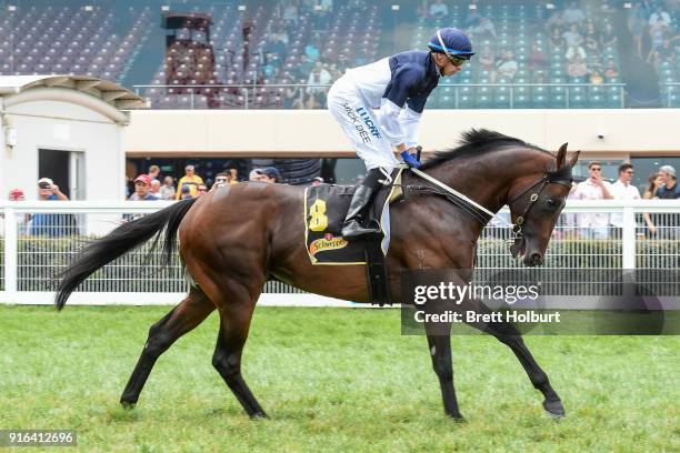 Ardrossan ridden by Michael Dee head to the barrier before the Schweppes Rubiton Stakes at Caulfield Racecourse on February 10, 2018 in Caulfield,...