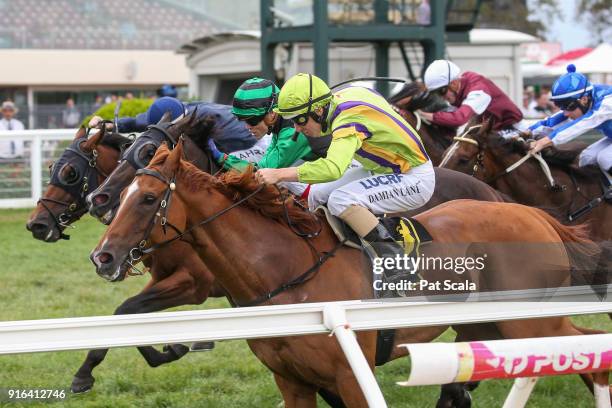 Super Cash ridden by Craig Williams wins the Schweppes Rubiton Stakes at Caulfield Racecourse on February 10, 2018 in Caulfield, Australia.