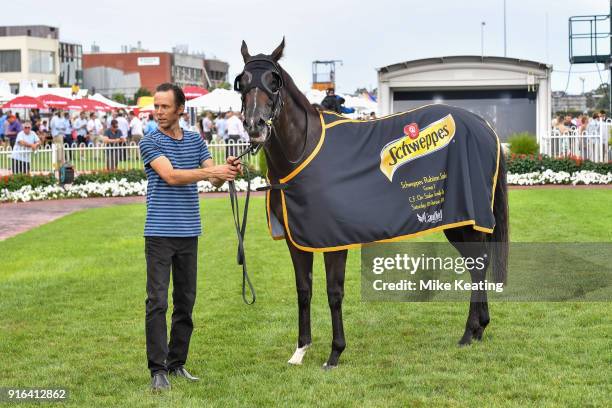 Super Cash after winning the Schweppes Rubiton Stakes at Caulfield Racecourse on February 10, 2018 in Caulfield, Australia.