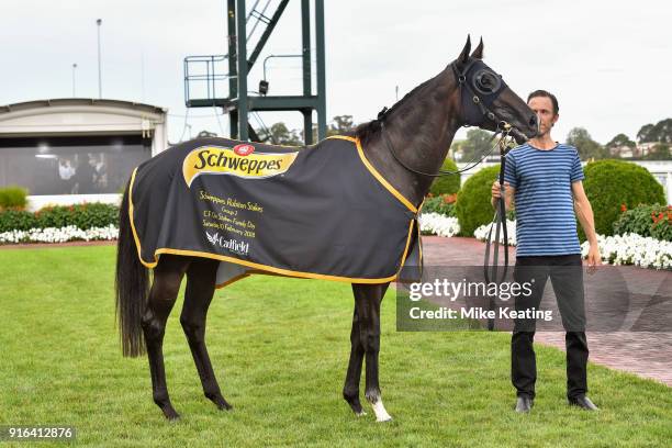 Super Cash after winning the Schweppes Rubiton Stakes at Caulfield Racecourse on February 10, 2018 in Caulfield, Australia.