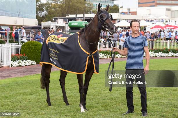 Super Cash after winning the Schweppes Rubiton Stakes at Caulfield Racecourse on February 10, 2018 in Caulfield, Australia.