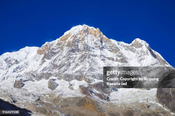 close up of the annapurna south and hinchuli peak from the annapurna base camp, nepal. - annapurna south 個照片及圖片檔