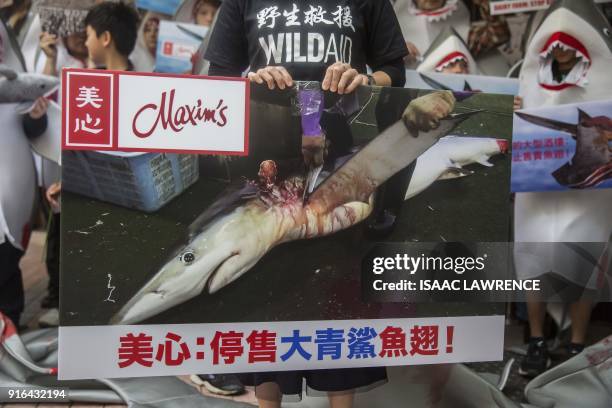 Member of conservation NGO WildAid holds a placard in front of shark fin activists as they protest outside a Maxim's restaurant, the largest Chinese...