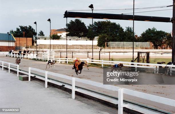 Greyhounds racing at Belle Vue Greyhound Stadium, Belle Vue, Gorton, Manchester, 8th July 1995.
