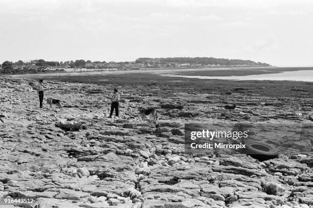 Police and tracker dogs search the beach at Sully, where Betty Elston was found murdered, 20th July 1971.
