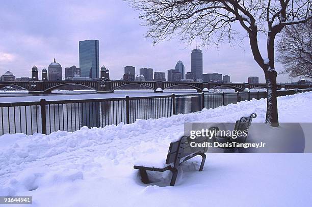 boston - charles river stock pictures, royalty-free photos & images