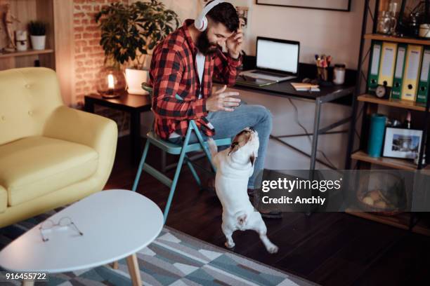 cute dog jumping out of joy while his owner pets him - trained dog stock pictures, royalty-free photos & images