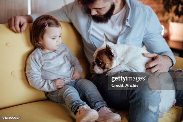 cute little family sitting on the sofa - cute baby bulldogs stock pictures, royalty-free photos & images