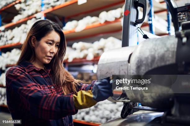 concept magasin et industrie en australie, travaillant dans les petites entreprises. - australian culture stock photos et images de collection