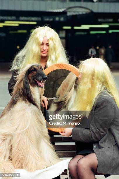 Crufts Dog Show, held at the NEC, 14th March 1995.