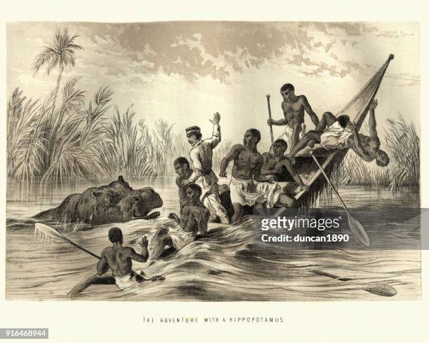 hippopotamus attacking david livingstone's boat, africa, 19th century - south african people stock illustrations