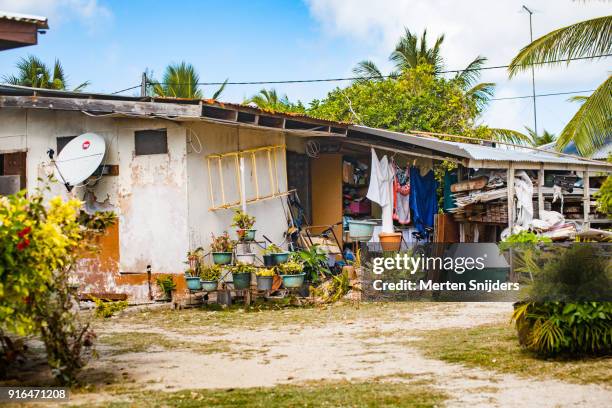 backyard of polynesian house with doghouse and flowerpots - huahine photos et images de collection