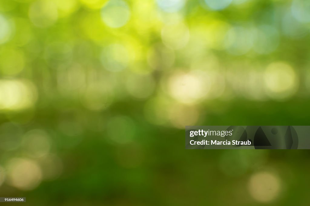 Greenery