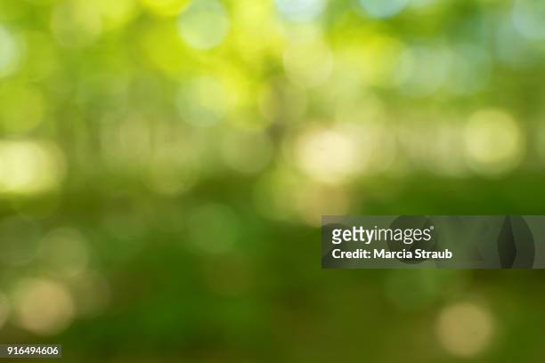greenery - nature background stock pictures, royalty-free photos & images