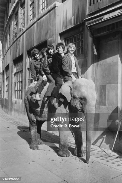 British pop band Plastic Penny arrive at the BBC on an elephant, London, UK, 23rd March 1968. From left to right: bassist Tony Murray, drummer Nigel...