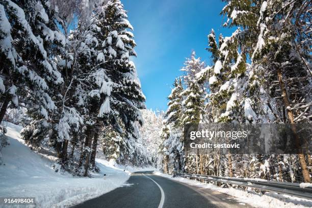 winter road through the forest - mountain pass stock pictures, royalty-free photos & images