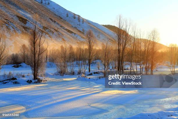 snow scene in heilongjiang, greater khingan range - província de heilongjiang imagens e fotografias de stock