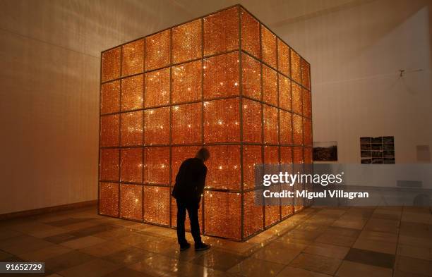 Man takes a look at the art installation 'Cube light' by Ai Weiwei, one of China's most controversial artists, at 'Haus der Kunst' on October 9, 2009...